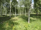 TEREN USŁUG HOTELOWYCH I TURYSTYCZNYCH - 8