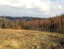 Urzekające siedlisko na dużej działce w Laskówce! - 7