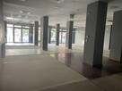 Lokal Handlowy/Usługowy Budynek Radisson Garbary - 10