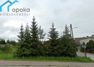 Dom Fugasówka gm. Ogrodzieniec, Bzowa - 8