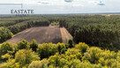 Działka leśno rolna o powierzchni 1.35ha - 4