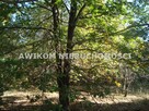 Działka budowlana Żelechów gm. Żabia Wola - 3