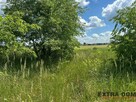 Działka budowlana w Białuniu - 2