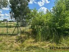 Działka budowlana w Białuniu - 4