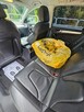 Audi A4 sline / led xenon skory - zamiana -1.8 t - 5