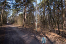 Działka leśna Otwock, - 11