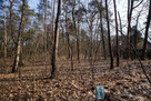Działka leśna Otwock, - 13
