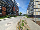 Real Estate 24 Poznań Mieszkanie wynajem Goplana Jeżyce