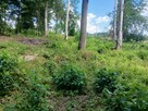 Malowniczo położona działka - 2