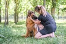 Pirania-suczka w typie owczarka niemieckiego do adopcji - 2