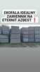 ZAMIENNIK ETERNITU- NOWE PŁYTY BEZ AZBESTU OD 23,50 ZŁ/m2 - 13