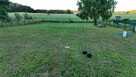 Działka rekreacyjna 1061 m² nad Śniardwami – Kwik, gmina Pis - 15