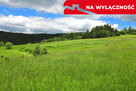 Działka rolno-budowlana w Szlembarku - 6