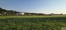 Działka budowlana Imielin, Janusza Kusocińskiego - 6
