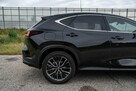 Lexus NX450H + 309KM, AWD - 11