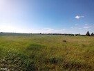 Dom Bałtów Wólka Bałtowska - 6