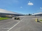 wynajmę magazyn w gminie RASZYN bardzo ładny możliwy podział - 3