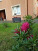 Pokoje Gościnne Anetta - 2