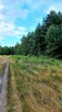 Działka budowlana Tumlin Osowa 2480m2 gmina Zagnańsk Kielce