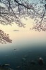 Poznam Panią