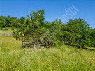 Działka budowlana 770 m² | Zawoja | Widok i słońce - 6