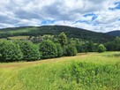 Cisza, natura, góry – działka budowlana 2100 m² - 3