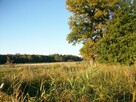 Działka łasin koszaliński - 2