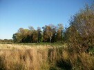 Działka łasin koszaliński - 3