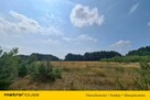 Działka 2,8ha w Dolinie Baryczy Wilkowo - 2
