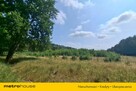 Działka 2,8ha w Dolinie Baryczy Wilkowo - 6