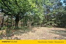 Działka 2,8ha w Dolinie Baryczy Wilkowo - 9