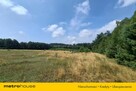 Działka 2,8ha w Dolinie Baryczy Wilkowo - 10