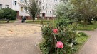 Wyjątkowe, 2-poziomowe mieszkanie z antresolą - 11
