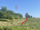 Niwa Działka rolno-budowlana 1,75 ha Puławski - 2