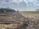 Niwa Działka rolno-budowlana 1,75 ha Puławski - 3