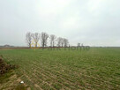 Działka inwestycyjna Święciechowa, - 7