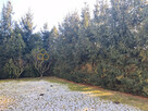 Dom Wińsko, - 4