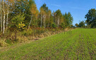 Działka rolna Sieraków gm. Szprotawa, - 2