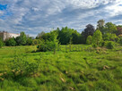 Działka inwestycyjna Wymiarki, - 2