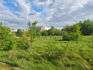 Działka inwestycyjna Wymiarki, - 4
