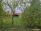 Działka ROD Morysin 300 m² z domkiem - Warszawa-Wilanów - 2