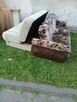 Meble w dobrym stanie oddam za darmo. - 4