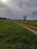 2300m2 Ploski działka budowl WZ wąska13m długa184m 666726744 - 9