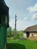 Wycinka drzew/frezowanie pni/Dębica i okolice - 15
