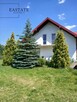 Działka budowlana - las, cisza, natura - 4
