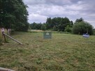 Działka budowlana Pogorzelica, Flamingów - 2