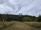Działka budowlana Pogorzelica, Flamingów - 4