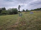 Działka budowlana Pogorzelica, Flamingów - 5