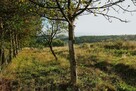 Działka budowlana Gwoździec gm. Zakliczyn - 3