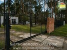 Działka leśna Międzyborów gm. Jaktorów - 2
